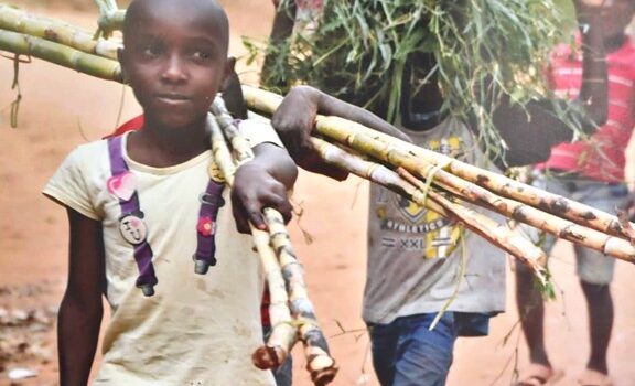 Spotkanie z Danutą Witkowską – znaną podróżniczką i fotografką